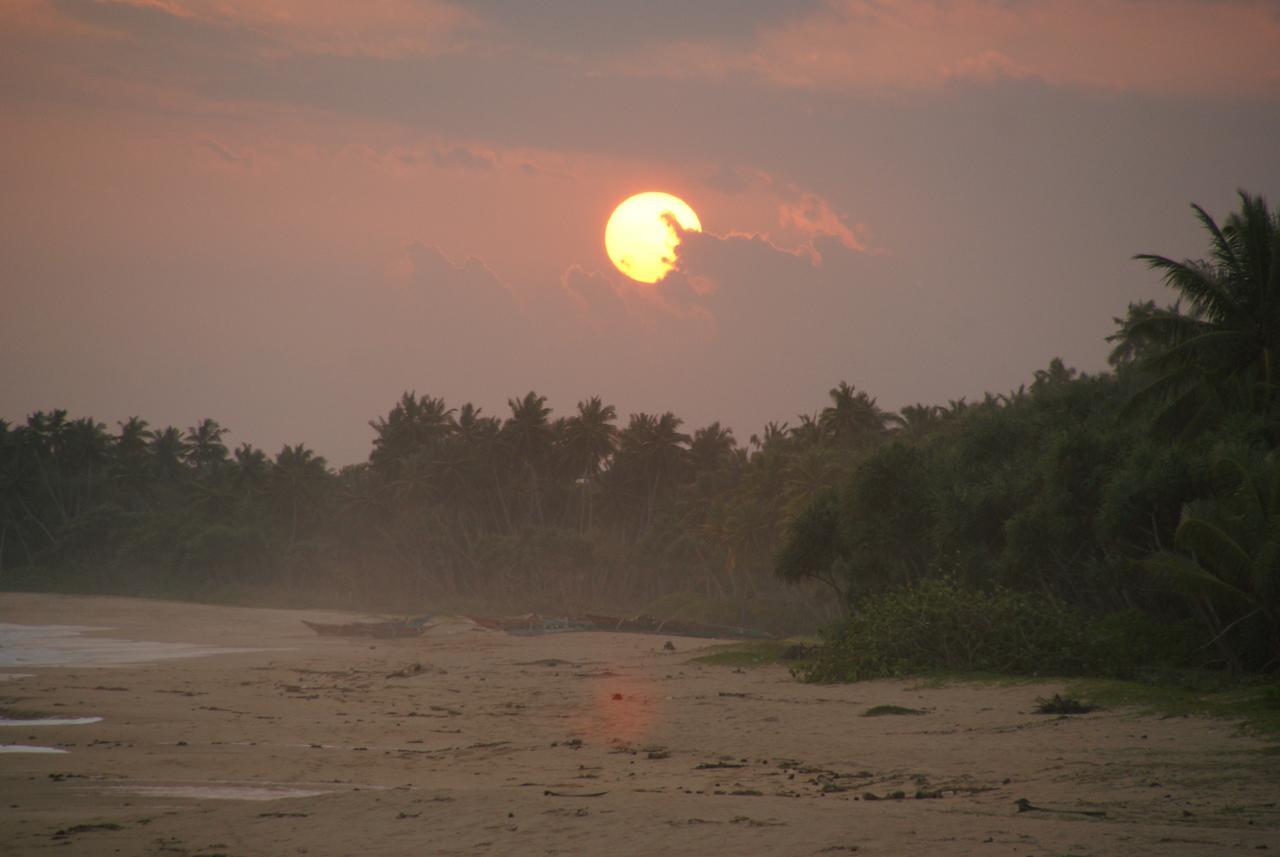 Lanka Beach Grand Villa Rekawa Dış mekan fotoğraf